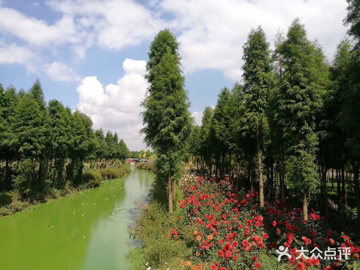 撈魚河溼地公園-圖片-呈貢區景點/周邊遊-大眾點評網