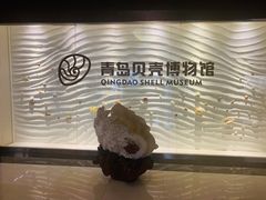 -青岛贝壳博物馆