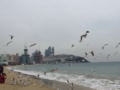 -海云台海滩