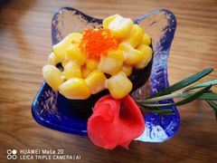 -团子君寿司·茶