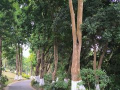 -广西壮族自治区药用植物园