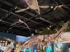 -国家自然博物馆