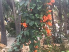 -南通洲际绿博园