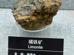 -甘肃地质博物馆