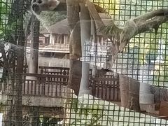 -清迈夜间动物园