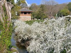 -中国茶叶博物馆(双峰馆区)