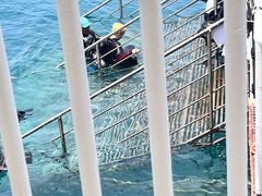 -三亚西岛海洋文化旅游区