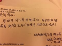 -三亚亚龙湾雅高铂尔曼别墅度假酒店