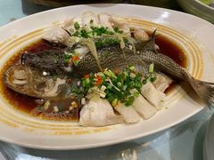 清蒸鲈鱼-眉州东坡(华联万柳店)