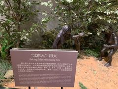 -北京周口店北京人遗址博物馆