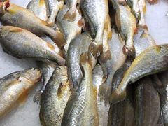 -大润发(东关世茂店)