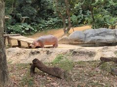 -广州长隆野生动物世界