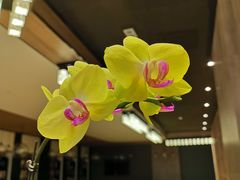 -弘毅大酒店(武汉大学国际学术交流中心店)
