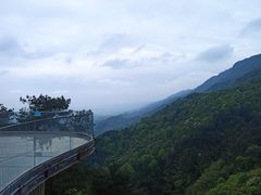 -缙云山景区