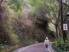 -金鸡山公园