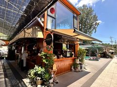 -京北渔家傲