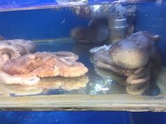 -开鑫鱼厂·宁波海鲜(前程智慧城店)