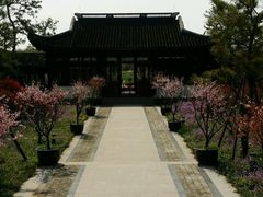 -上海海湾国家森林公园