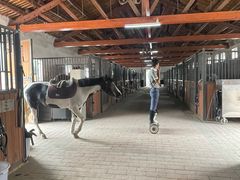 -北京群众马术培训基地