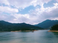 -广州市流溪河国家森林公园