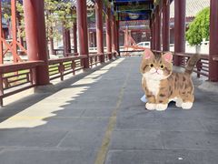 -东昌湖风景区
