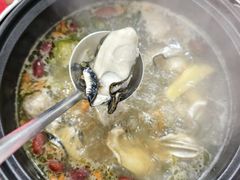 -花苑美食横琴生蚝火锅(拱北粤华路店)