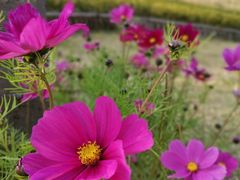 -牛岗山公园