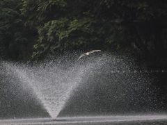 -重庆彩云湖湿地公园