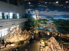 -自贡恐龙博物馆