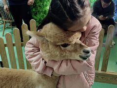 -藦茜花园宠物主题亲子互动体验馆(国顺东路店)