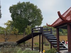 -杭州野生动物世界