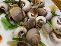 白灼香螺-丹盛象山海鲜(水清路店)