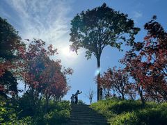 -广州市帽峰山景区