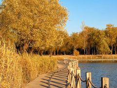 -野鸭湖国家湿地公园