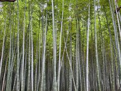 -同里国家湿地公园