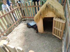 -宝岩生态观光园