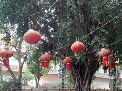 -汤锅大王(新平曹苏黄牛汤锅有限公司)