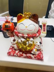 -宝贝家族国际影像馆(高新店)