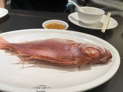 -吴记富苑(朝阳店)