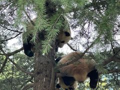 -西安秦岭野生动物园
