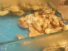 -火舞泰·泰式海鲜火锅餐厅(世纪城店)