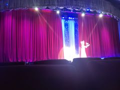 -金东尼人妖秀