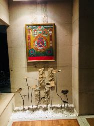 -广州萨谛艾扬格瑜伽中心