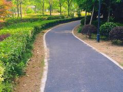 -新江湾城公园