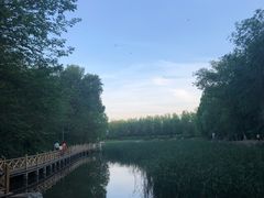 -云岗森林公园
