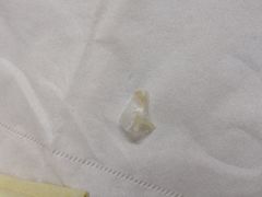 -东江海鲜酒家(艺都分店)