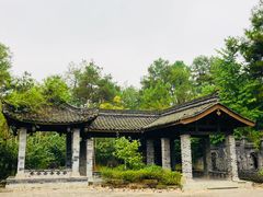 -铁山坪森林公园