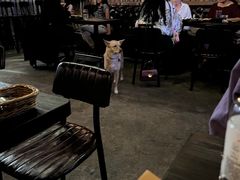 大堂-Side Street街旁(交道口店)