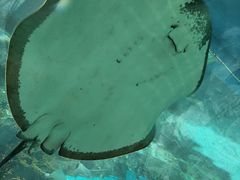 -福州罗源湾海洋世界旅游区