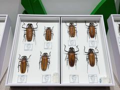 -烟台市博物馆
